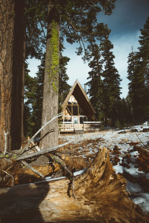 a cabin nestled among trees in the woods