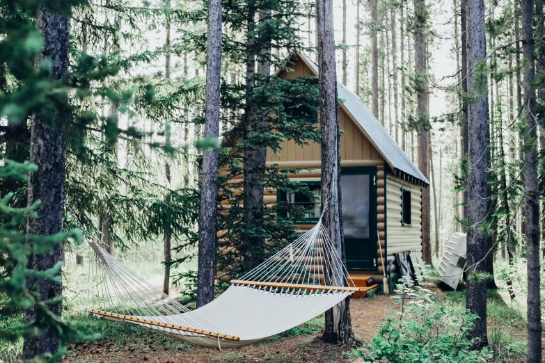 hammock at cabin in woods with white canvas bed