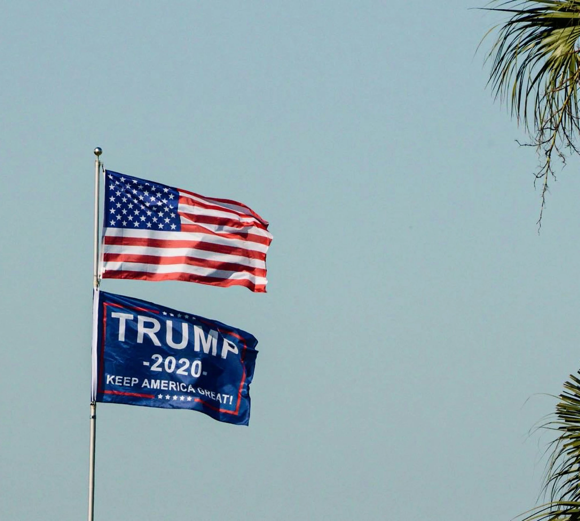 two flags flying from a pole and two palm trees