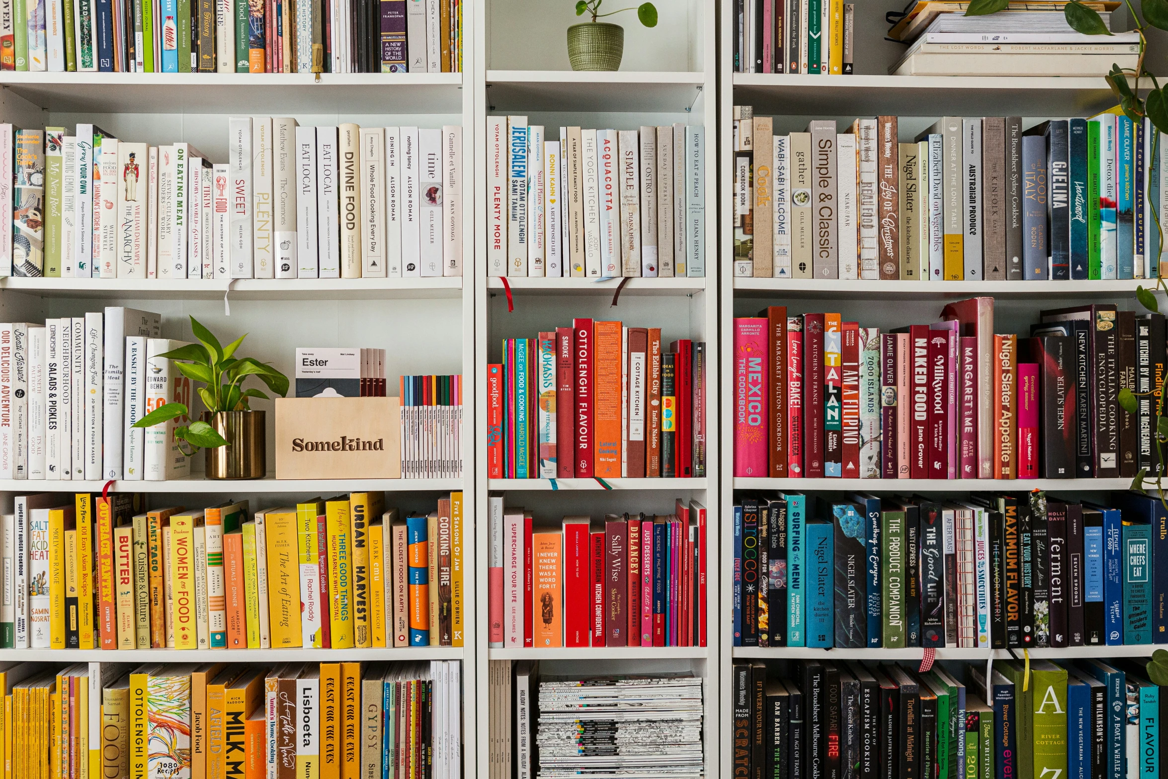 the bookshelves are full of various books