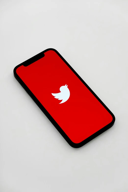 an iphone that has a twitter logo on it