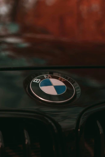 the bmw emblem on the hood of a red car