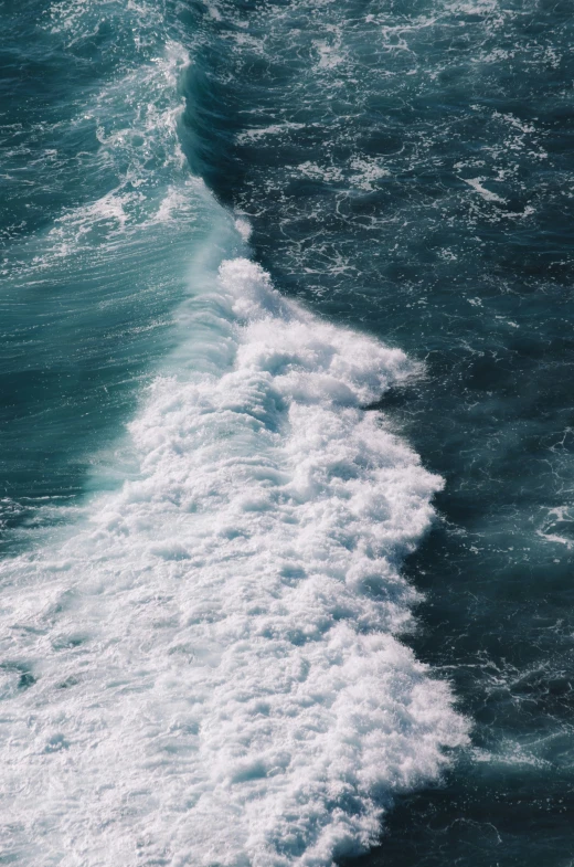 a seagull hovers over a blue and white wave