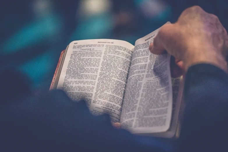 person reading the book while sitting down at the table