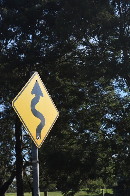 a road sign in a park shows the bend