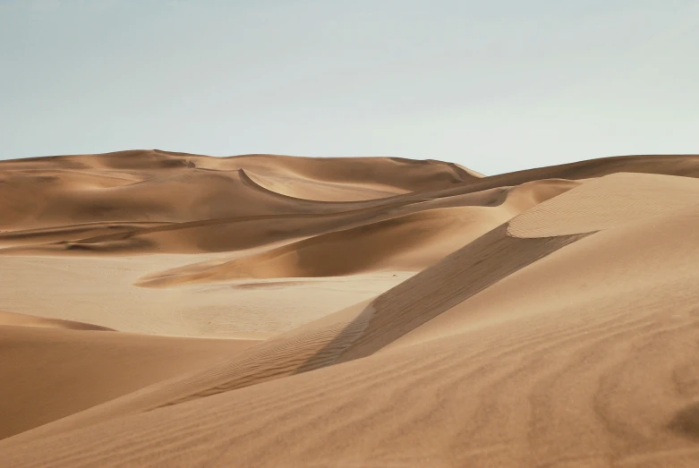 desert area with long shadows and sp grass