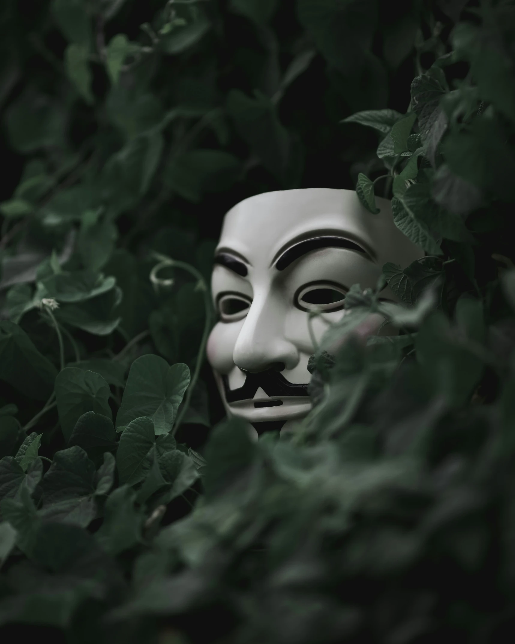 a creepy mask in the green foliage