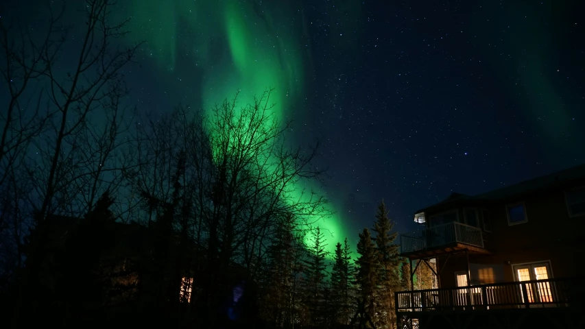 a very bright green aurora bore above some trees