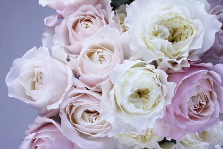 a bouquet of various roses sits in front of a gray background