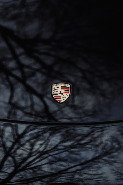 a po taken from the ground looking at the emblem on a car's hood