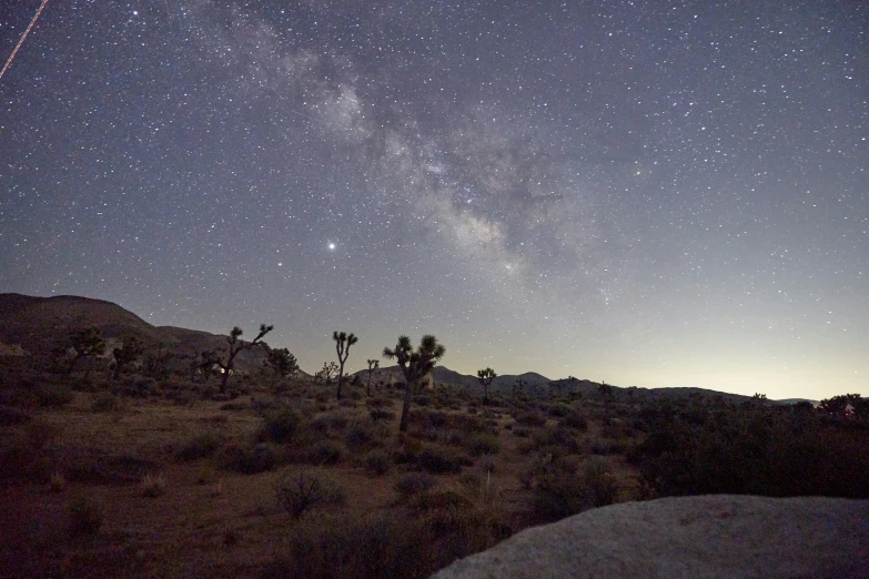 the milky in the sky over joshua tree