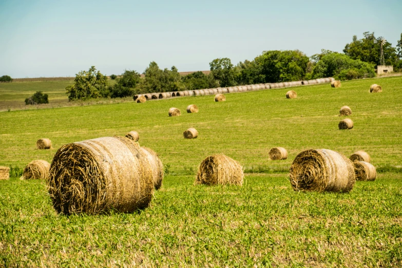 a field full of hay bales sitting on top of a green grass covered hill