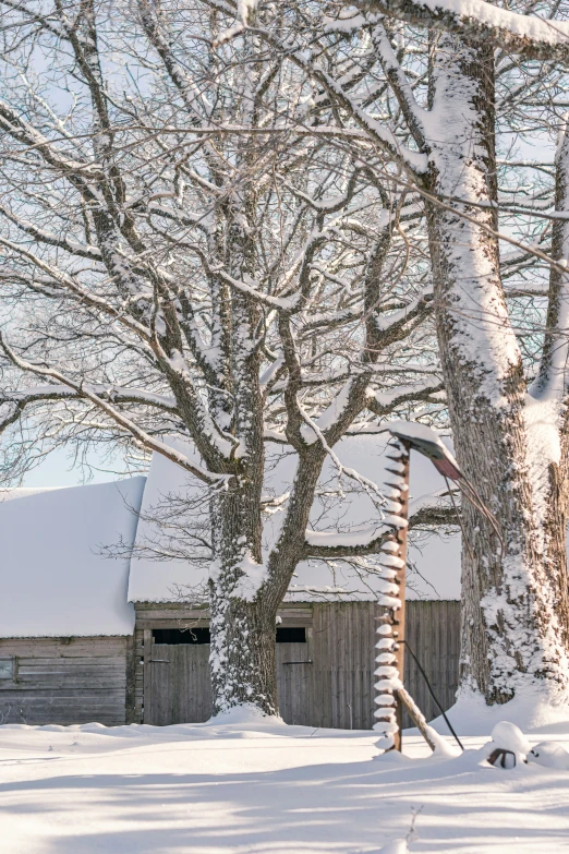 the snow is piled high in the trees next to the building