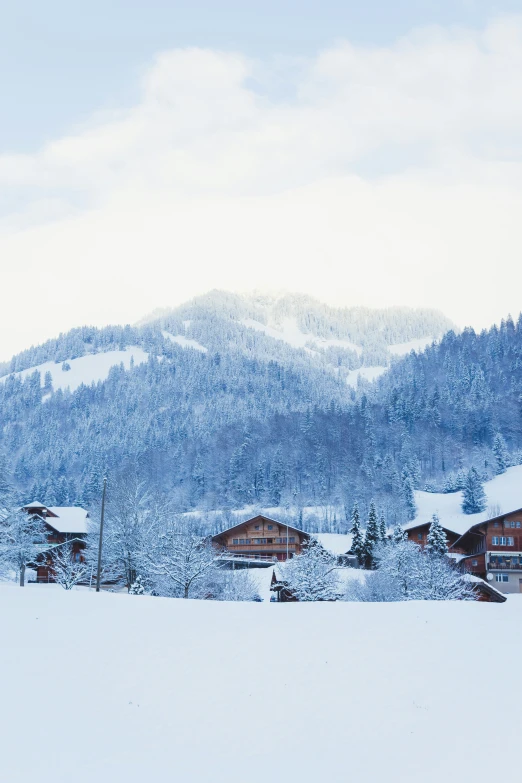 some snowy hills and houses with a snow covered tree