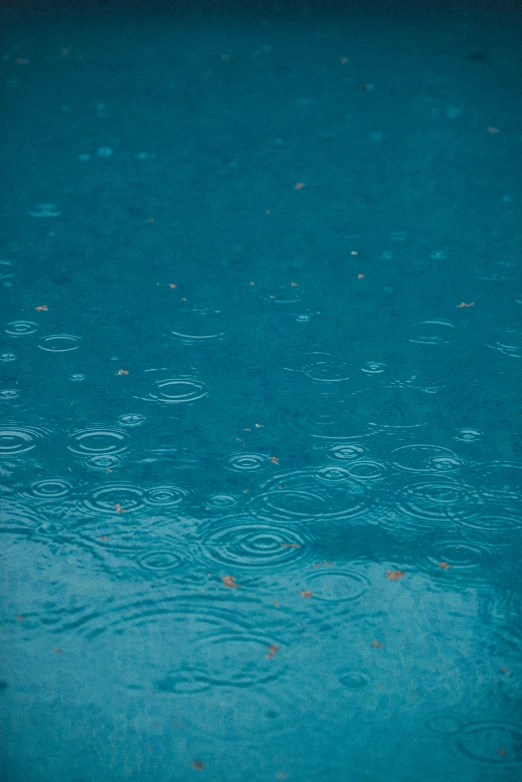 blue water with a bird in the middle and circles on it