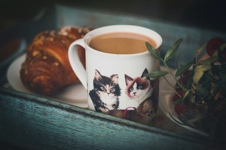 a cup with coffee and a cat design sitting on a plate