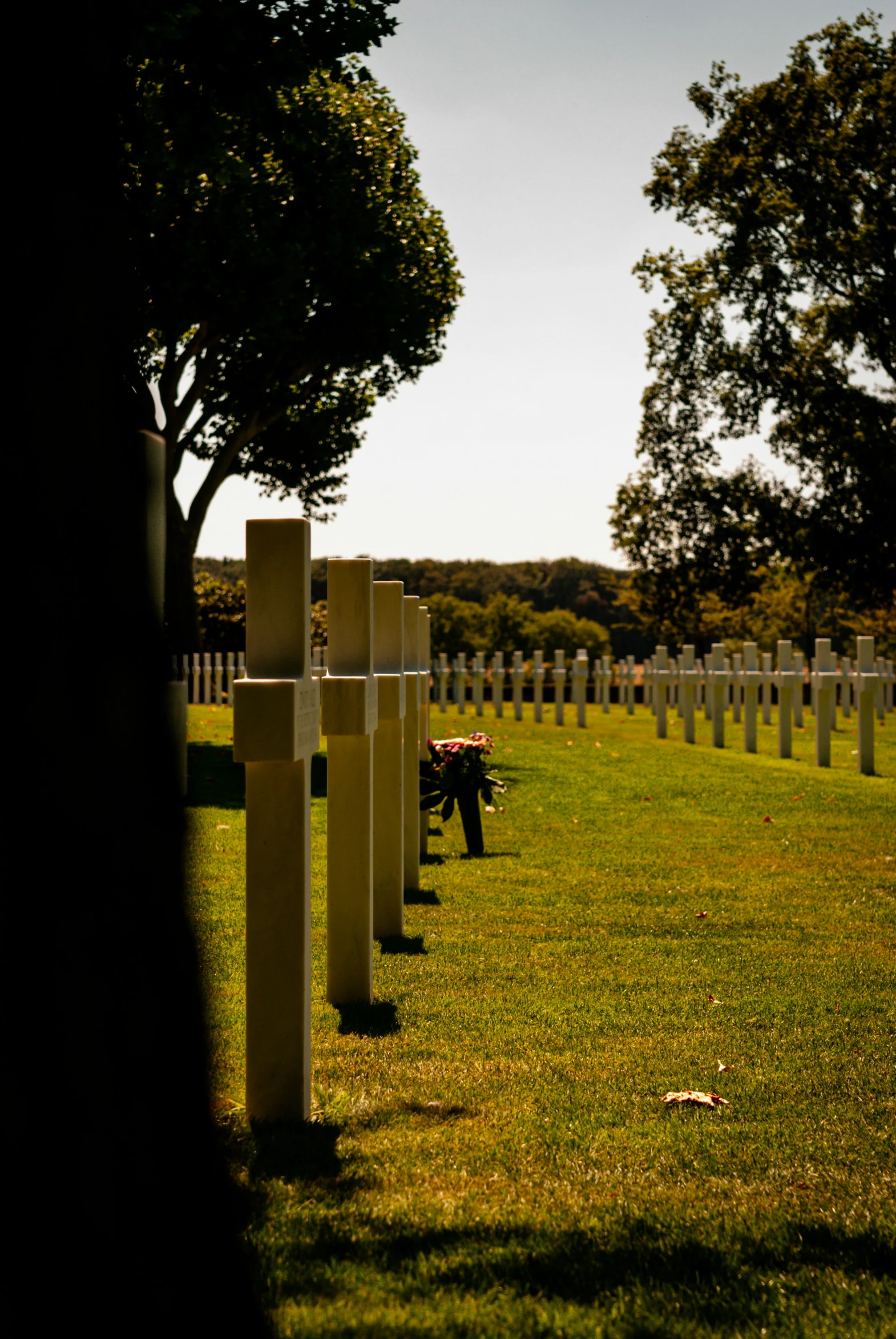 a field full of headstones in the grass