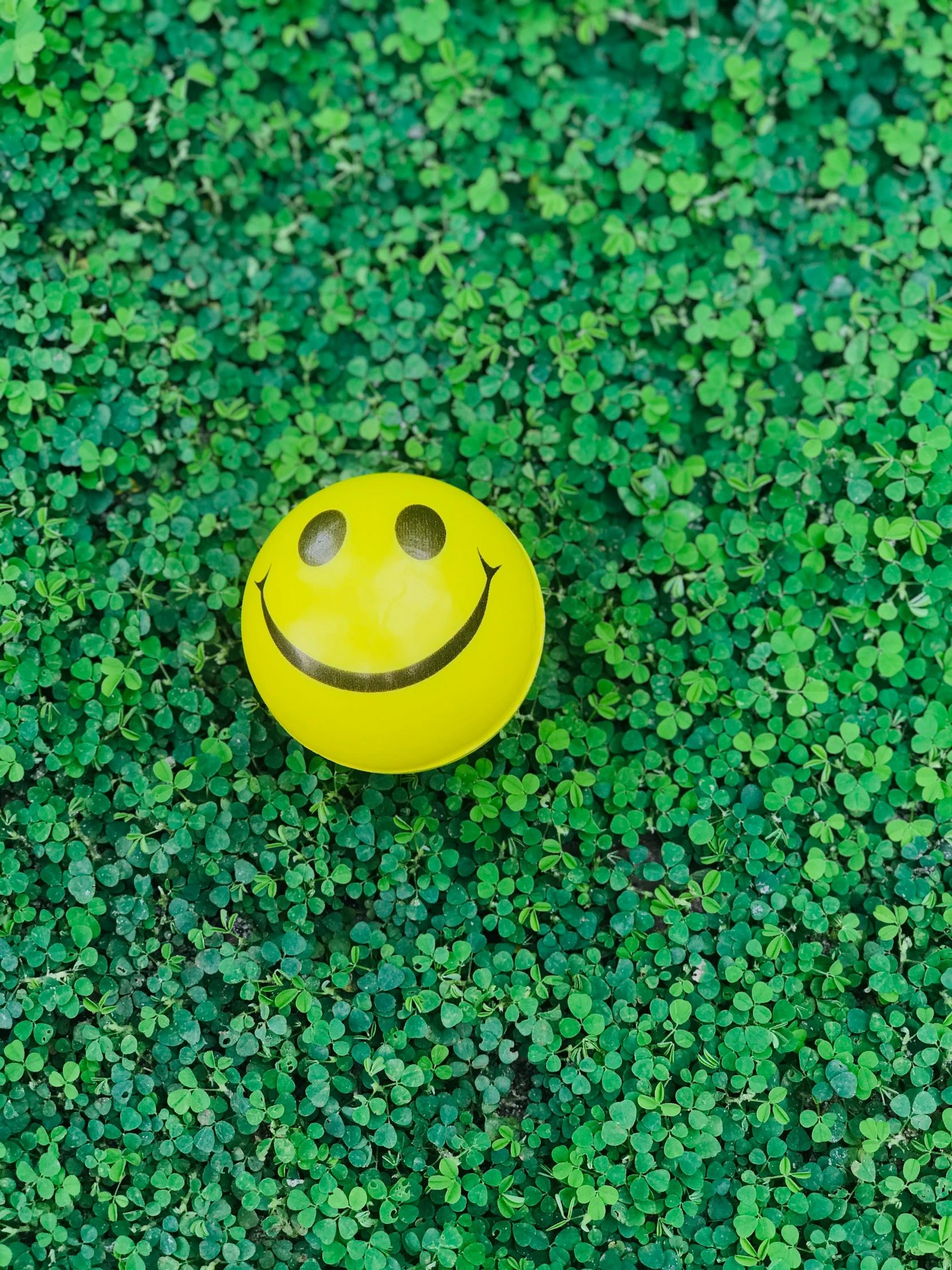 a yellow smiley face sitting in some grass