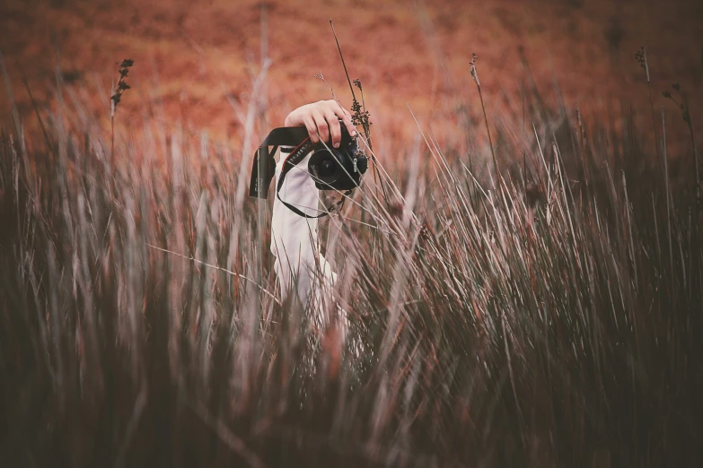 a woman in a white dress is standing among tall grass