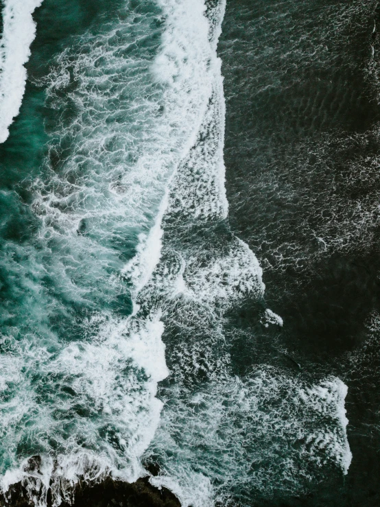 a bird is flying over a body of water