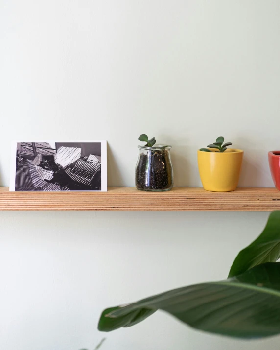 three small pots with plants and plant pots on them