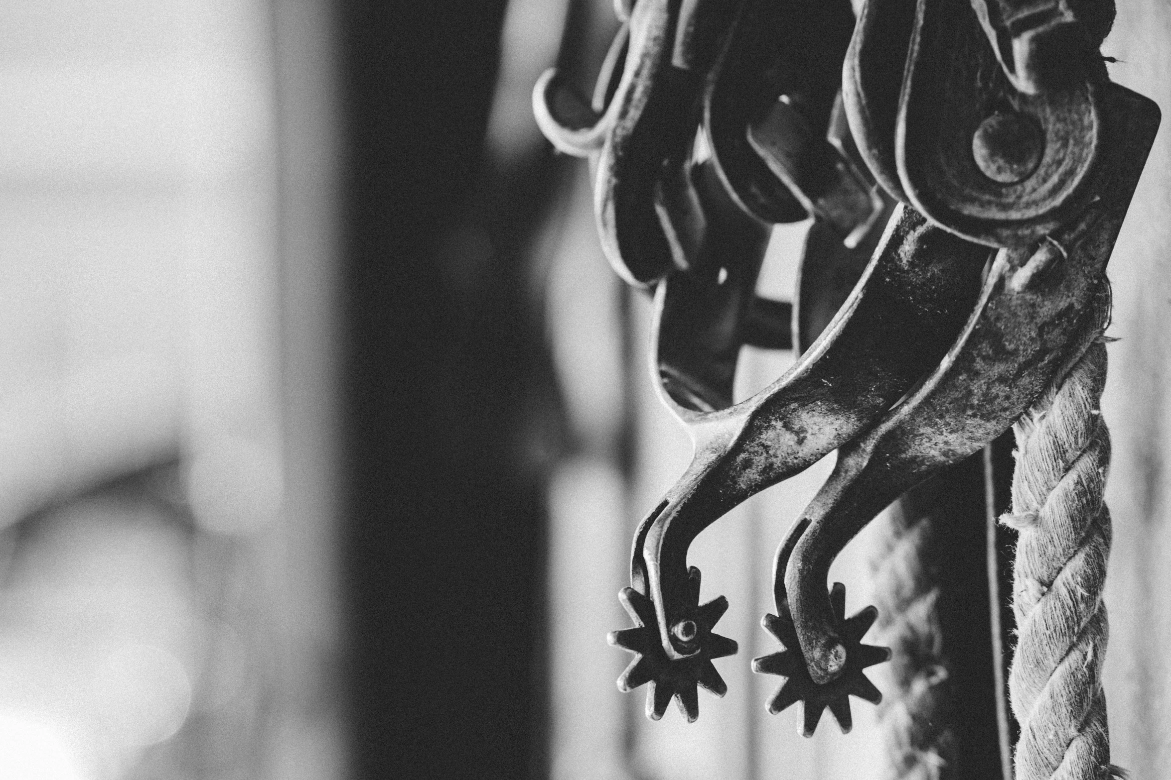 a po of old scissors hanging on a curtain