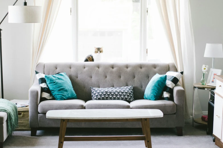 a room with a gray couch with blue and black pillows