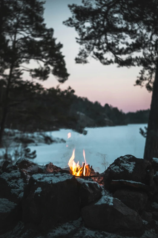 a forest is full of a fire in the snow