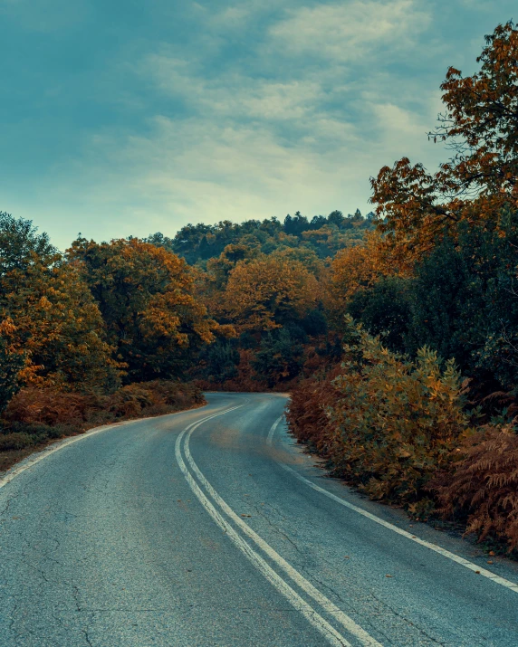 a road leading up a hillside in the fall