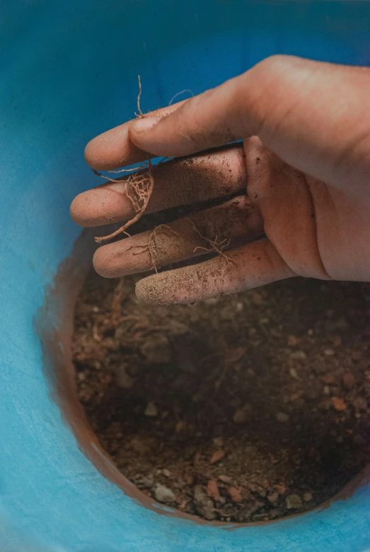 hand holding a rock, a plant and soil in a blue bowl