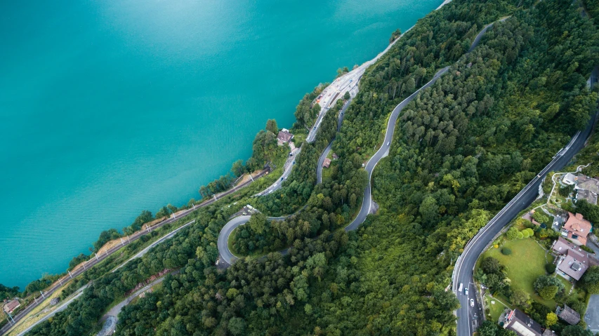 winding road curves by a lush green forest