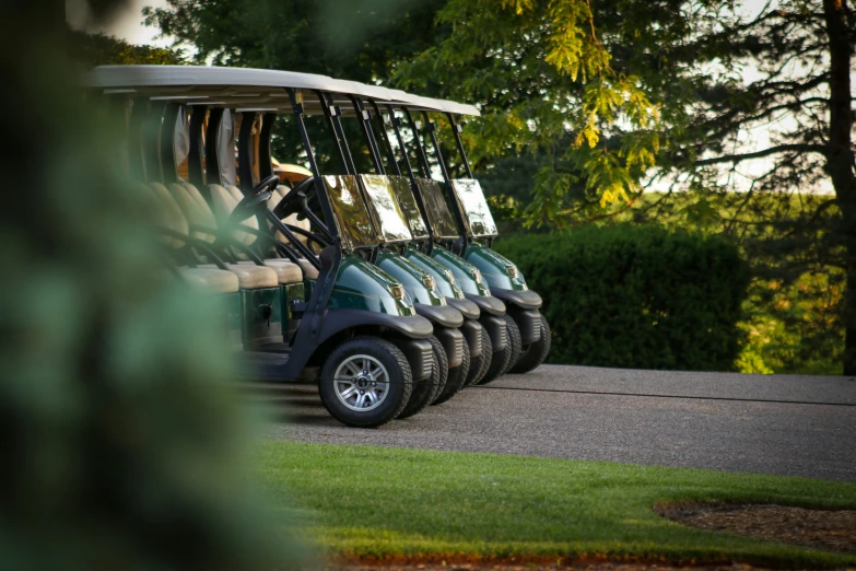 a row of electric golf carts in grassy area next to trees