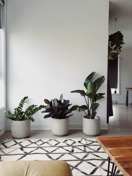 a room with a couch a plant and a window