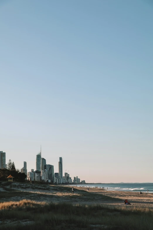 a view of a city skyline from the beach