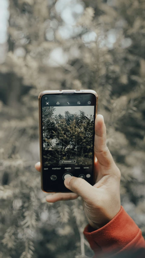 a person holding a cell phone up in front of a forest
