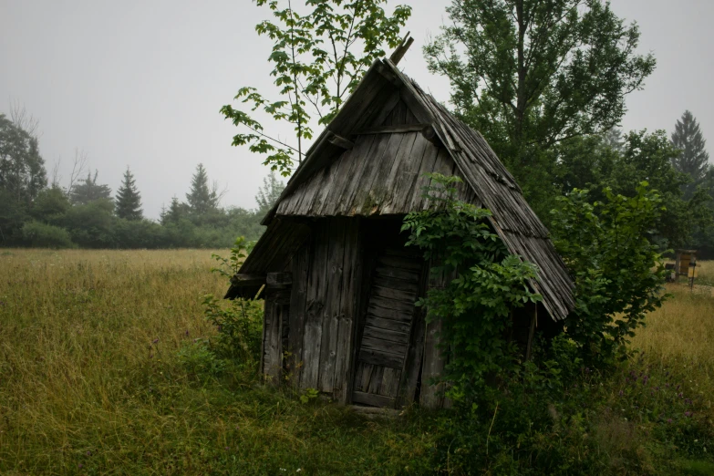 the log building is made from logs and has ivy growing on it