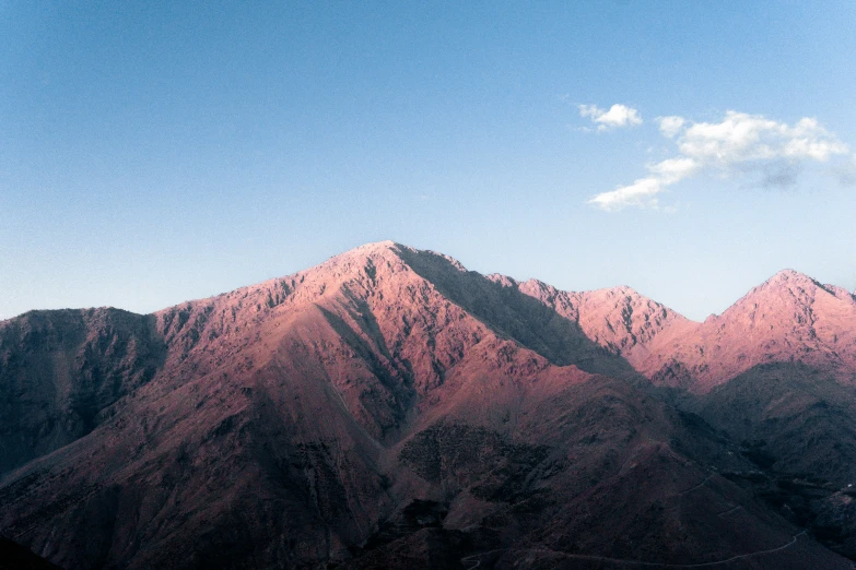 a bird standing on the side of a mountain