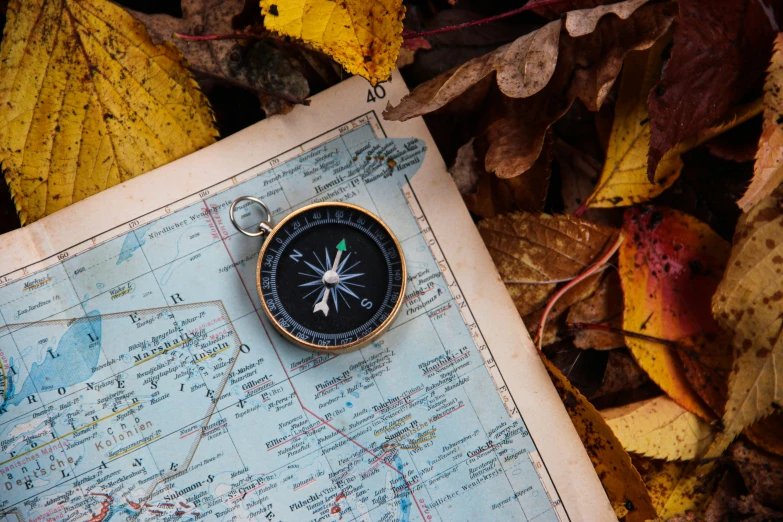 a compass on top of a map in the leaves