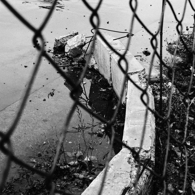 a dog walking by some muddy water behind a fence