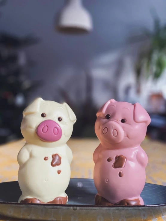 two little pigs on a plate sitting on a table