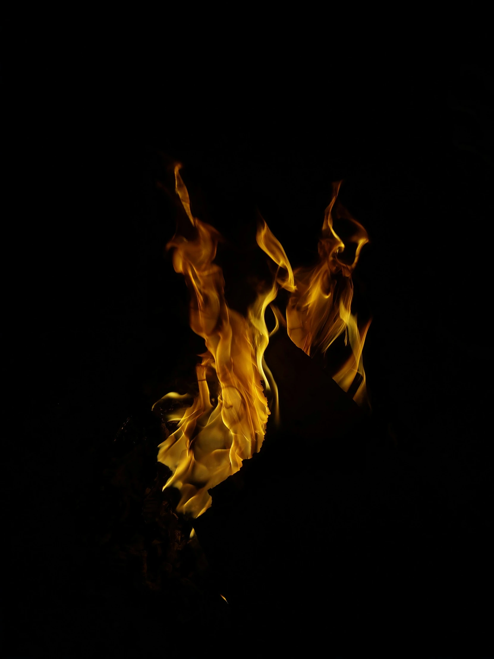 the fire is glowing in the black night