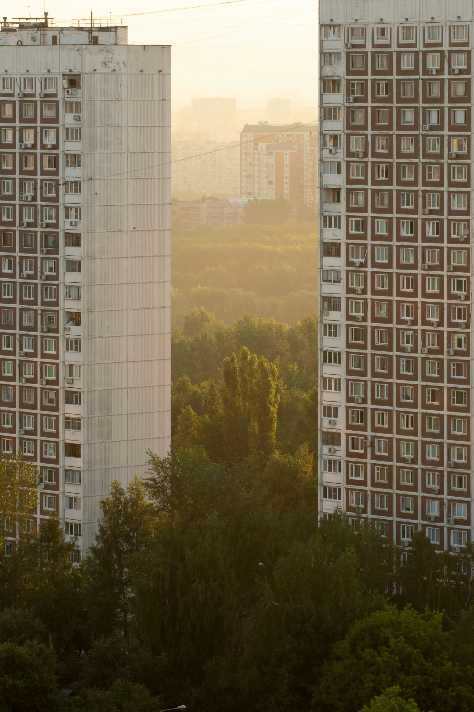 two tall buildings next to each other surrounded by trees