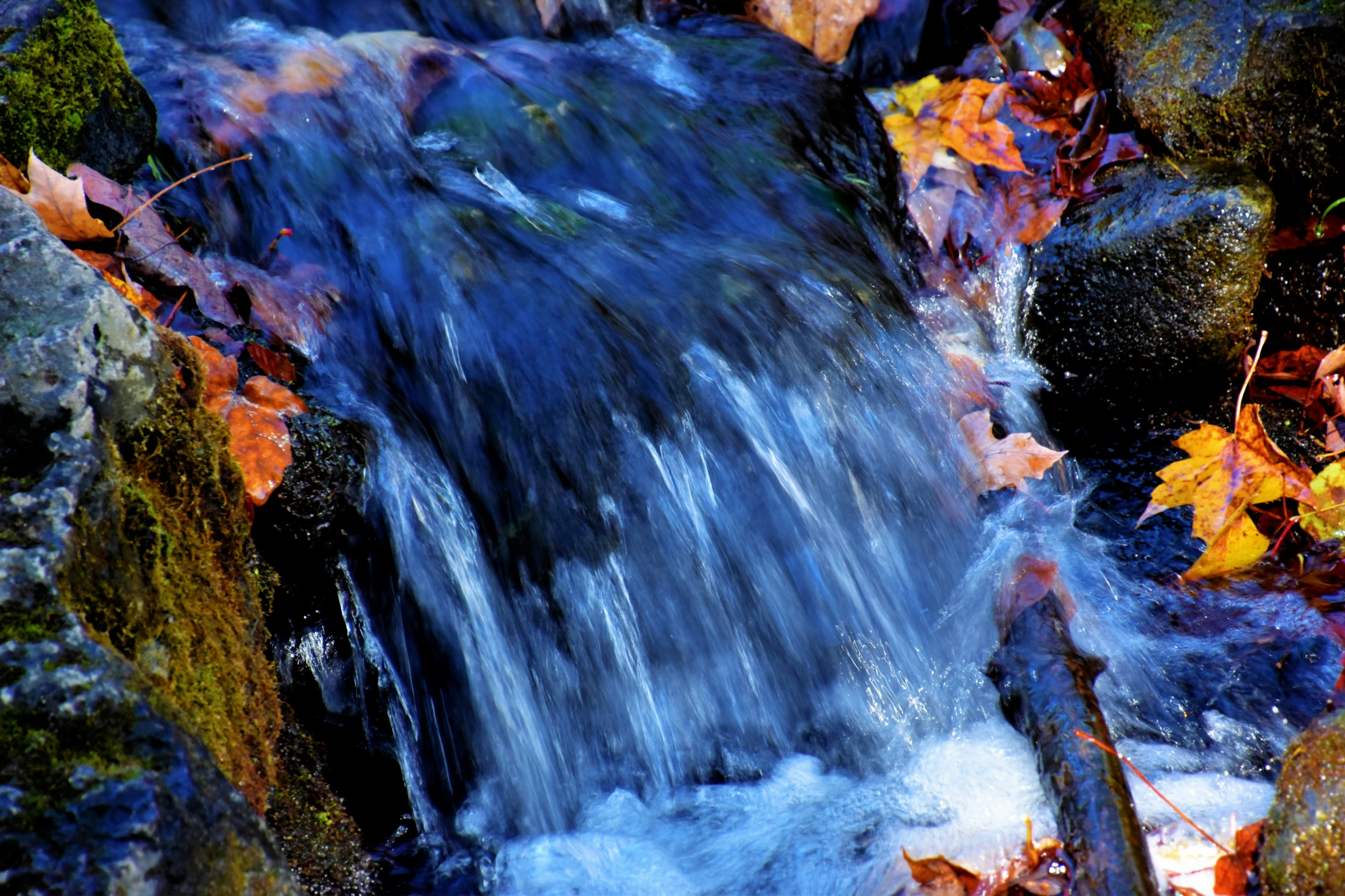 a stream flowing into a small waterfall surrounded by leaves