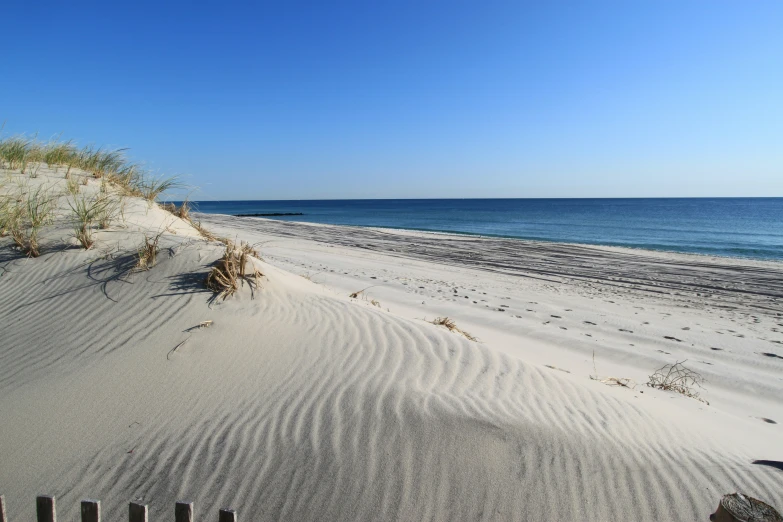 a sandy beach with the ocean in the background