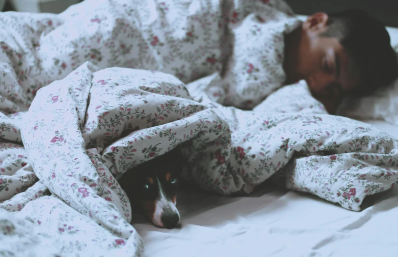 a dog is sleeping under a blanket on the bed