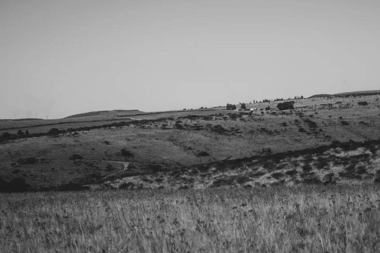 black and white pograph of a hill on top of a grassy hill