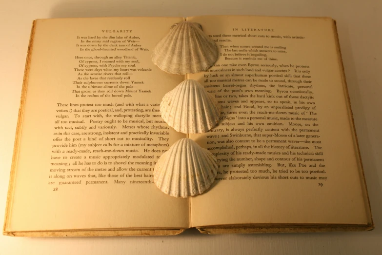 two sea shell pieces sitting on top of an open book