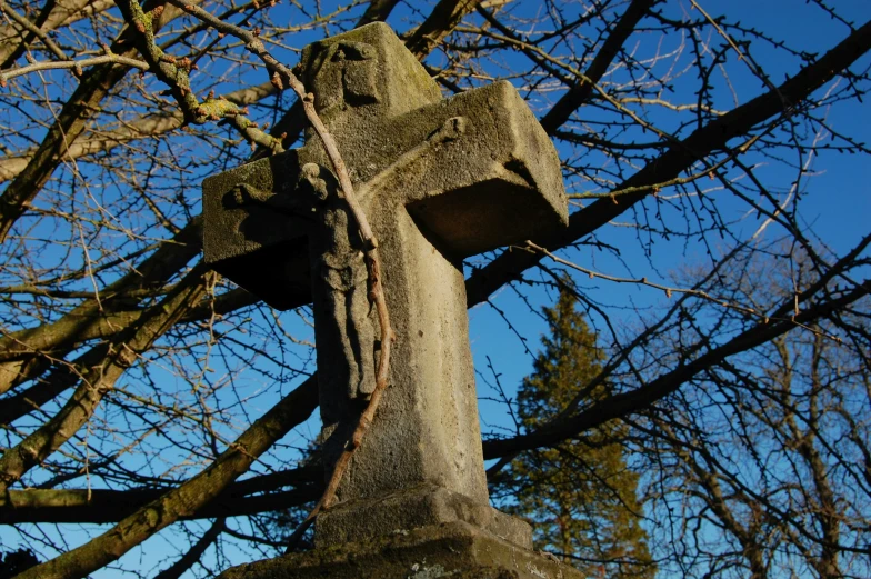 an old wooden cross in the middle of a forest