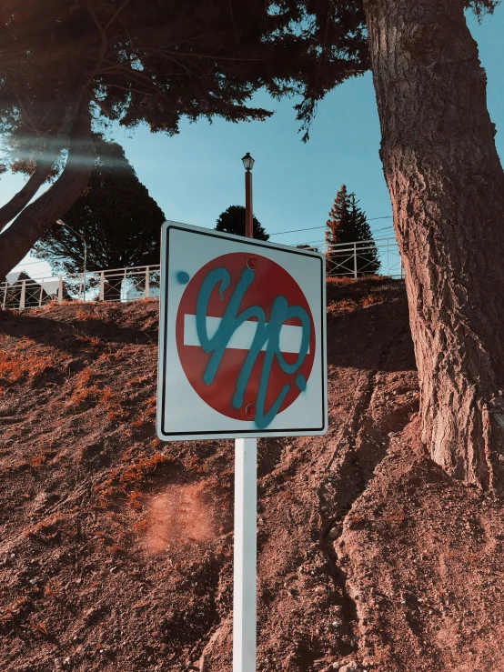 a sign sits next to a tree with a sky background