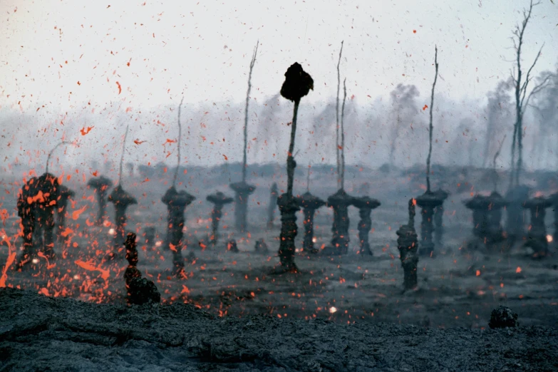 the large open area of an area that has been destroyed